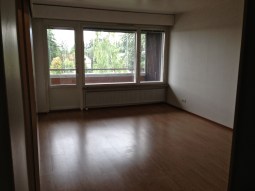 Näkymä eteisestä huoneeseen päin. Keittokomero vasemmalla.