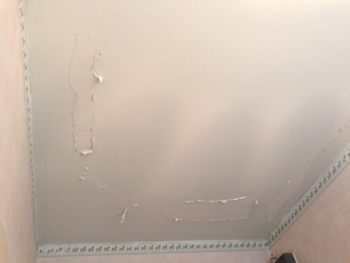 Kun kattomaali kesii...