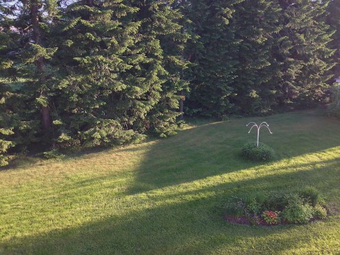 Takapihanäkymä parvekkeelta