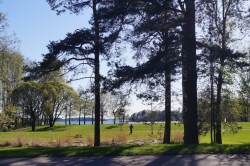 Tavoitteenasetannalla lisävipua asuntosijoittamiseen