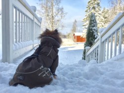 Asuntosijoittamisen kasvattaminen palkkatöiden ohessa