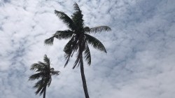 Vuokranantaja - tee nämä 5 asiaa ennen ensimmäisen vuokrasopimuksen allekirjoittamista