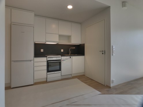 Sijoitusasunnon valokuvaus älypyhelimella - joko laatutaso riittää