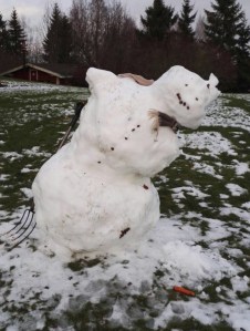 UNADJUSTEDNONRAW_thumb_1143