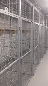 fullsizeoutput_10280