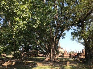 Asuntosijoitustavoitteeni 2018 - tilinpäätös. Blogi #134