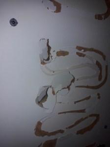 UNADJUSTEDNONRAW_thumb_2bc0f